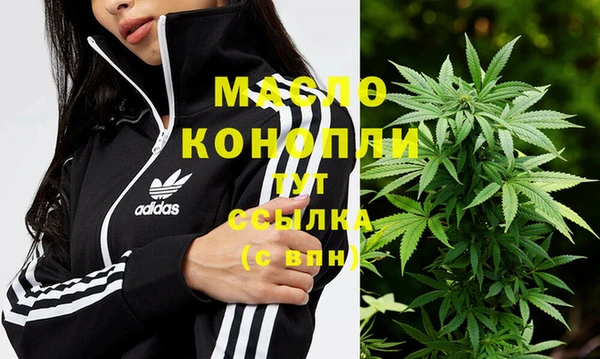 прущие грибы Аркадак