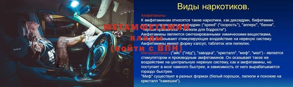 прущие грибы Аркадак