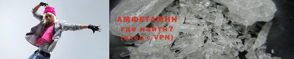 прущие грибы Аркадак