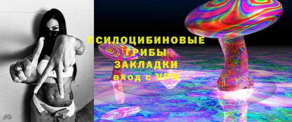 прущие грибы Аркадак