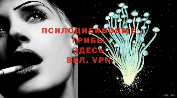 мяу мяу мука Приозерск